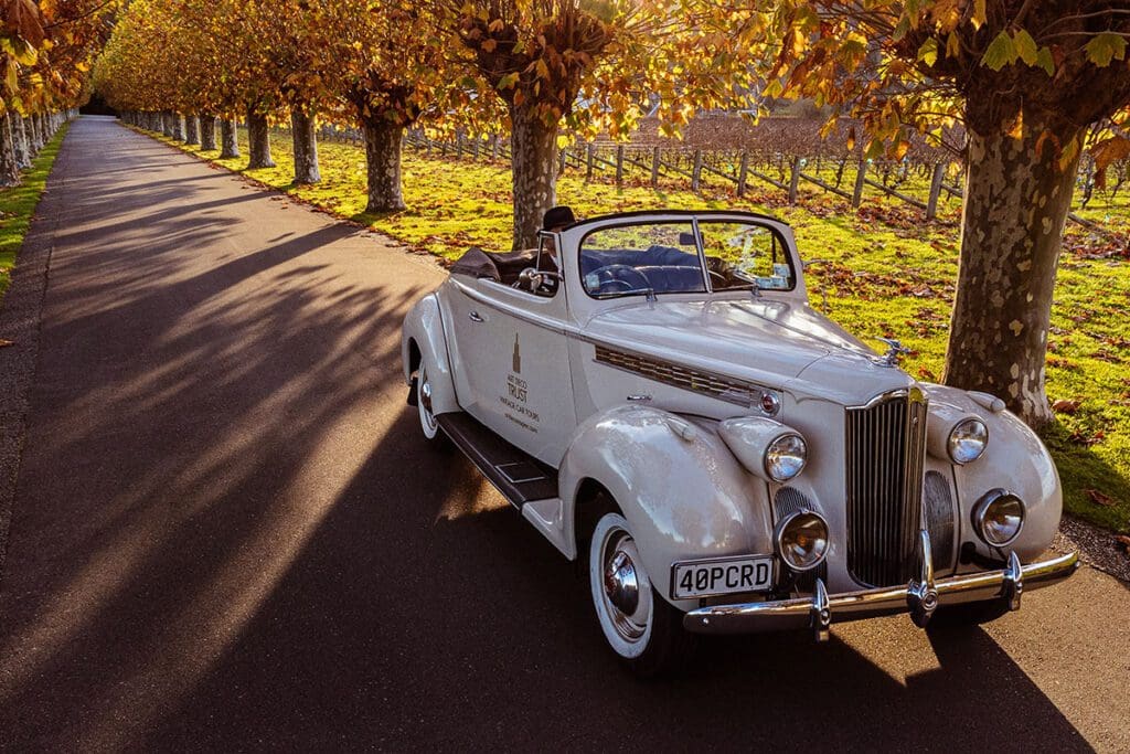 'Connie', a cream vintage Packard motor car driving between an avenue of trees outside Craggy Range vineyard